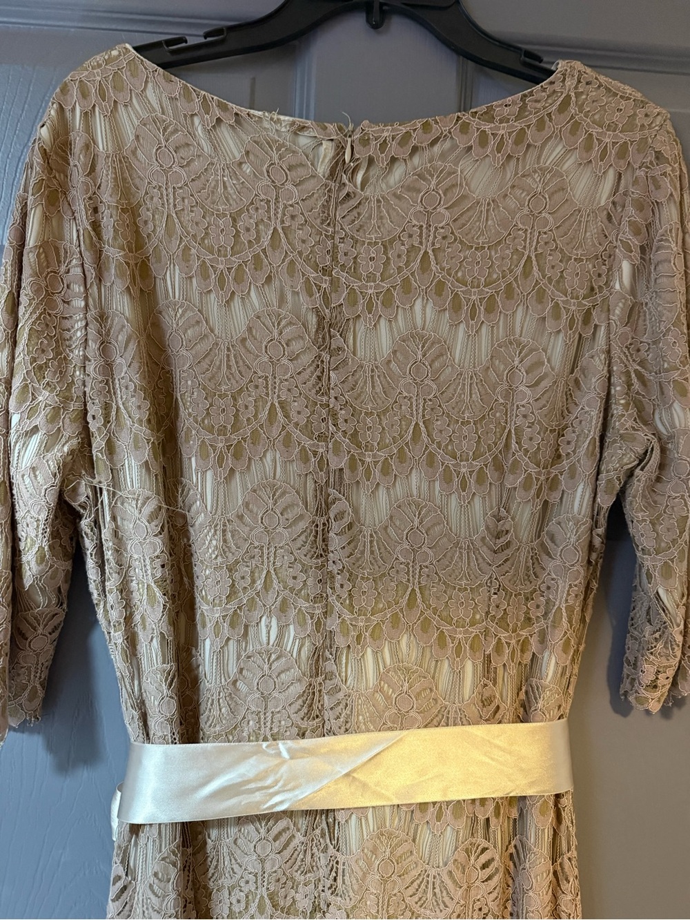 Dainty Jewells Beige Label with Black Logo - Picture 3 of 5